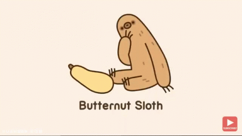 an illustration of the word ernut sloth and its image on it