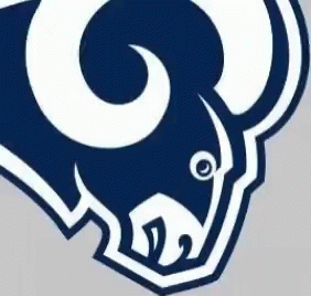 the logo of the nfl is shown