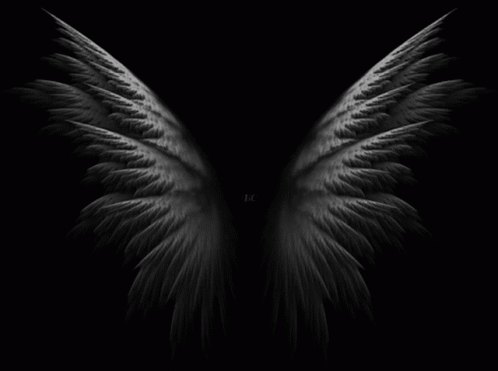 a dark and white image with angel wings