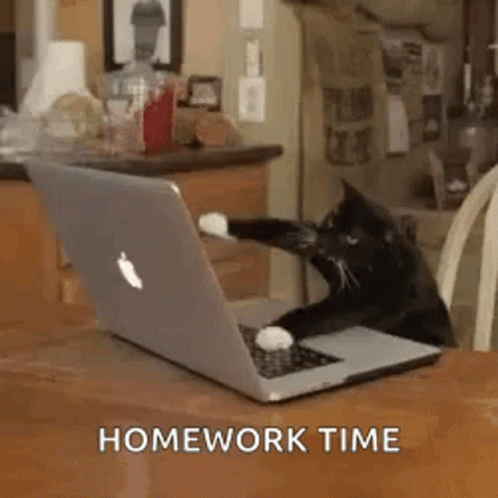 there is a black cat on the computer and it says homework time