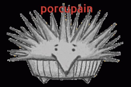 the porcupin in a basket with words above it