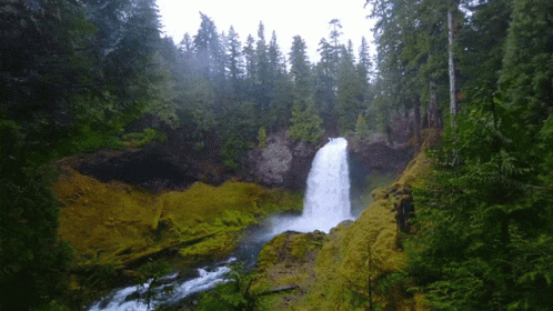 a view of a very tall waterfall with trees around it