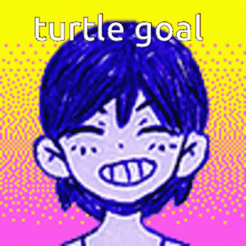 this is a turtle goal picture for teenage girls