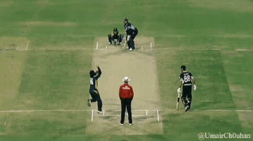 the professional players are playing a game of cricket