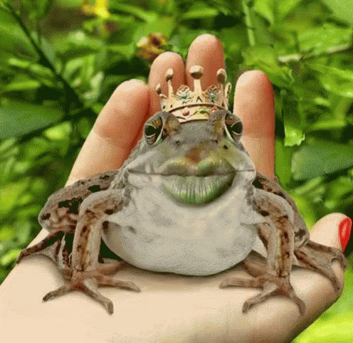 a frog with a crown sits on a hand