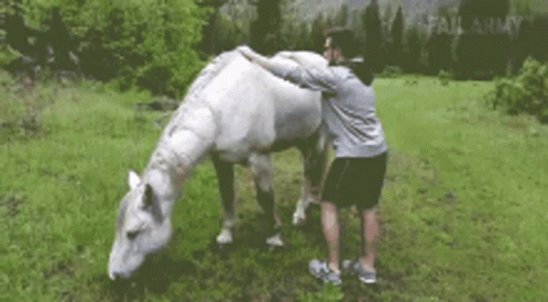 a man leaning over to kiss the nose of a small white horse