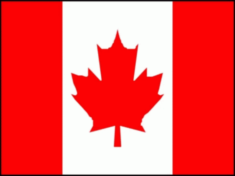 the flag of canada with an image of the maple leaf on it