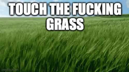 a person walking through tall grass with the words touch the ing grass