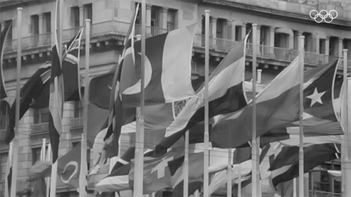 the flags in front of the building are waving in the wind