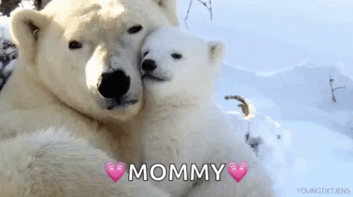 a white polar bear holding a baby polar bear