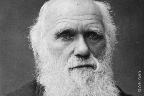 a man with a long white beard and big ears