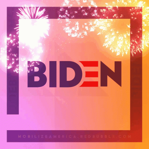 an image of the word bidn with firework