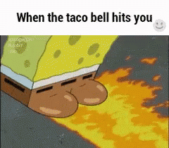 an open page with the caption saying,'when the taco bell hits you '