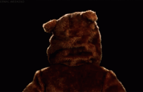 a bear wearing a hood is shown against a black background