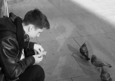 a man sitting down with birds in front of him