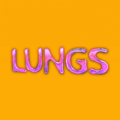 the words lungs against a bright blue background