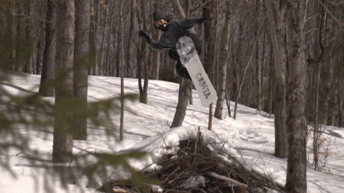 a snowboarder is high in the air in the forest