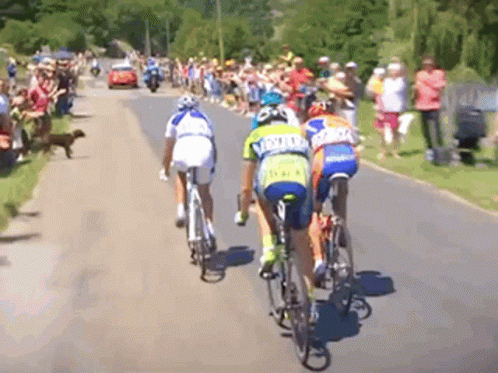 group of people riding bikes down a road with grass