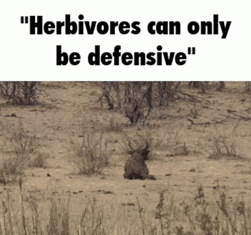an ad for herbvores can only be defensive