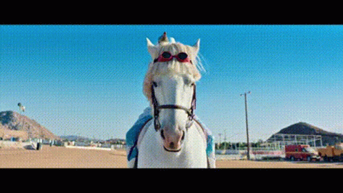 the horse wearing shades and glasses is white