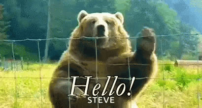 a bear standing in front of a net with words