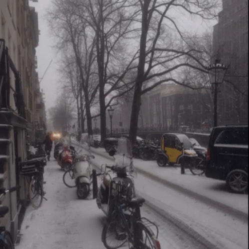 bikes parked along a sidewalk in a snow storm