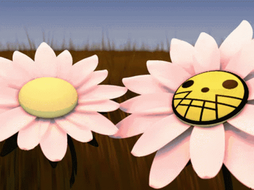 two white flowers with a cartoon head are placed close together