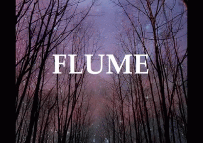 a night scene with the word flume surrounded by dark trees