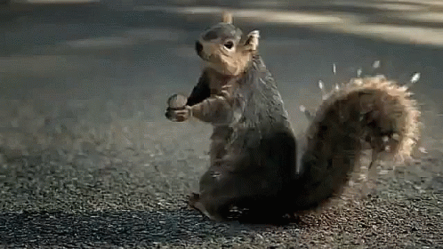 an animated squirrel is playing with its paw