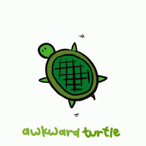 the words awkward turtle are depicted next to a turtle