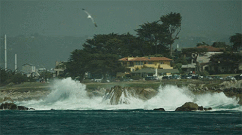 large waves crashing over the beach as a bird flies low in the sky