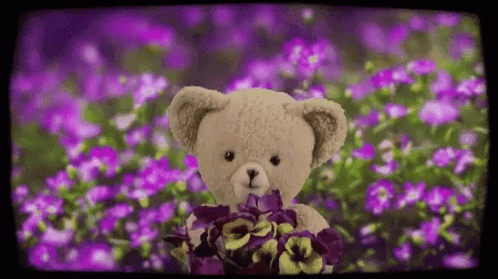 a white teddy bear sitting on the edge of pink flowers