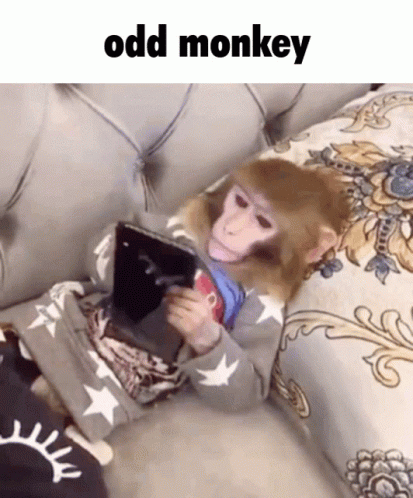 a monkey sitting on top of a couch with his head resting on a cup