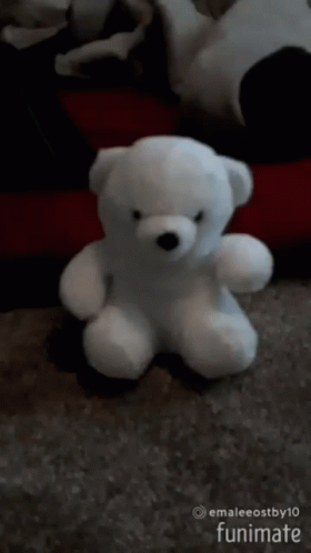 a white teddy bear in a black background