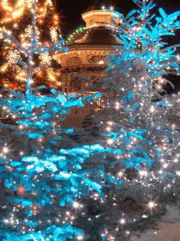 a snow covered area is lit up with holiday lights