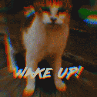 a close up picture of a cat with words wake up written below it