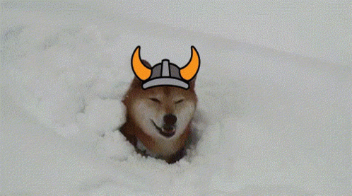 a dog wearing a blue helmet while hiding in the snow