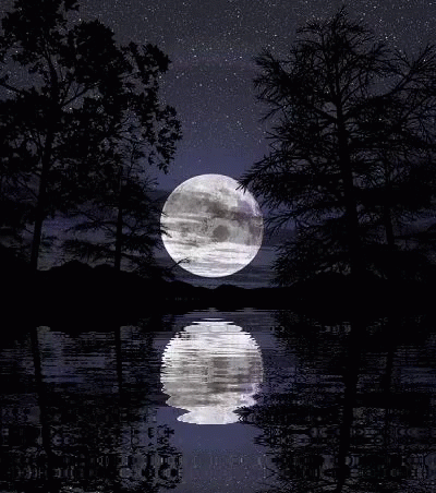 a very full moon is reflecting in the water