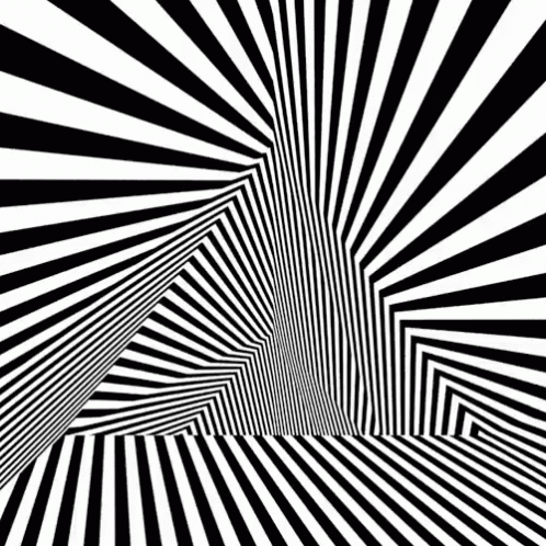 an abstract psychedelic black and white background with lots of lines