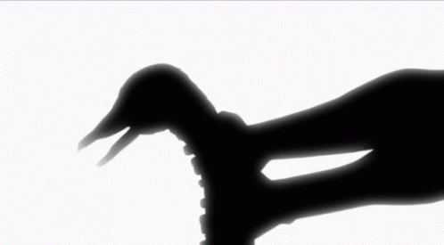 a person in silhouette next to a bird