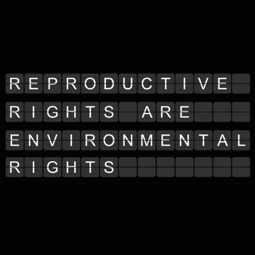 an electronic keyboard reads reproductive rights are environmental rights