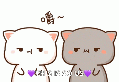 the text says this is so us with two cartoon cats