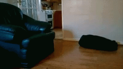 a cat is sleeping on the floor next to a chair