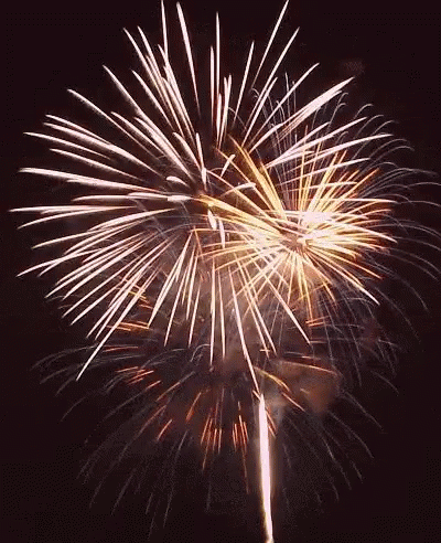 fireworks exploding into the sky on a black day