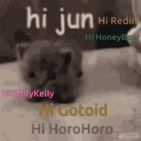 a cat is sitting down and has the word hijun written on its side