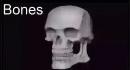 the image is of a skeleton with text that reads bones