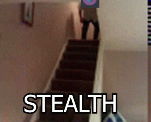 person descending stairs in a home with text saying stealth