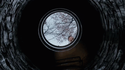 the view from inside a round window with trees
