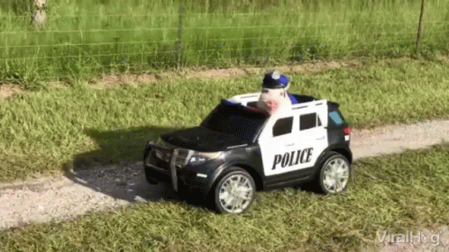a police toy car is in the grass by itself