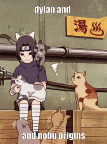 cartoon girl with white cat and other cats and caption that says,